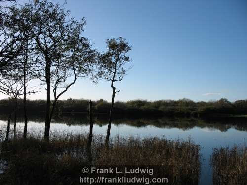 Coole Park, County Galway